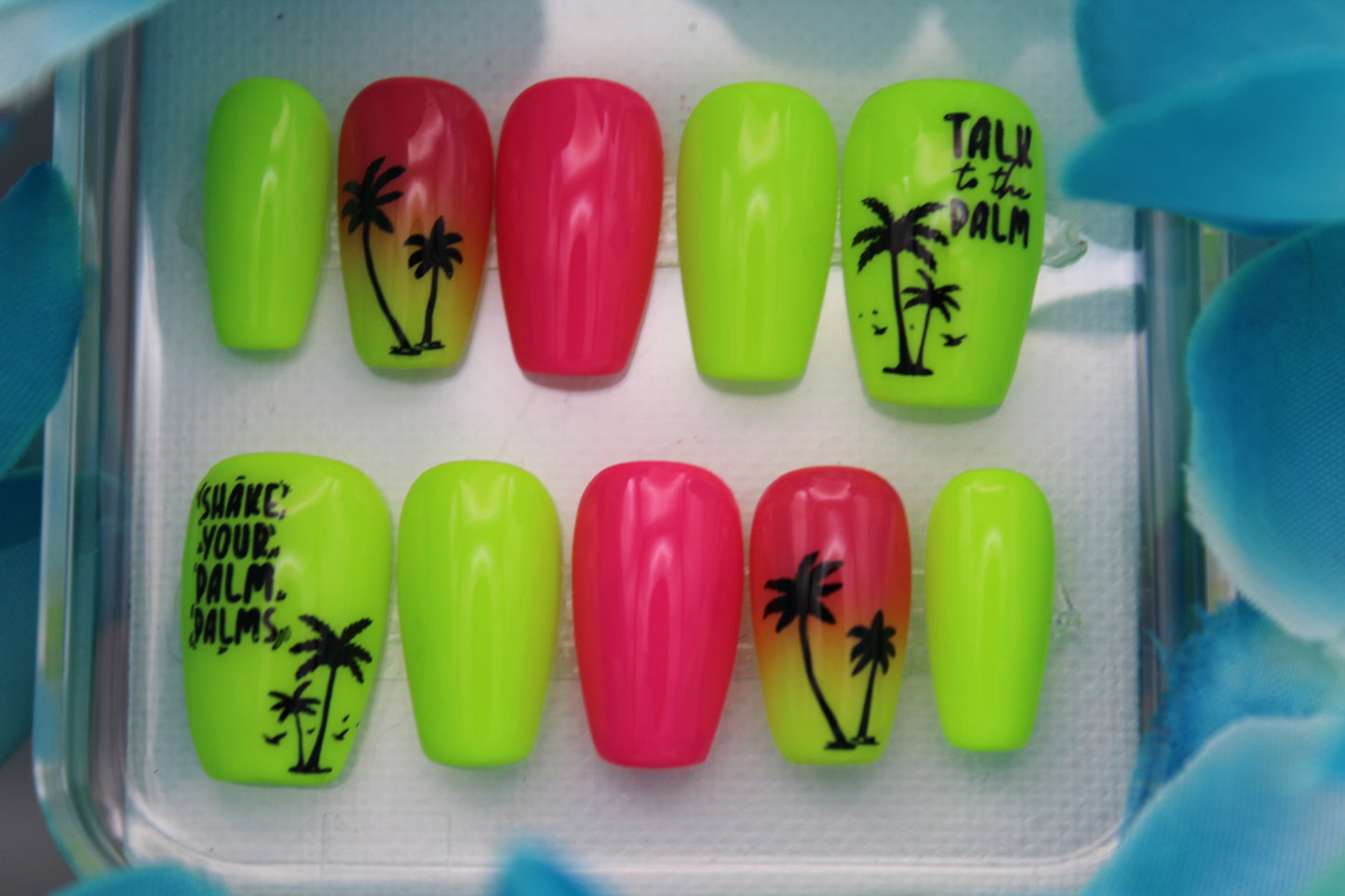 "Talk to the Palm"