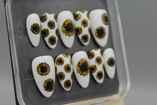 Sunflowers & Sunshine
